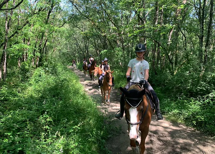 Domaine Du Cheval D'argent Saiguede