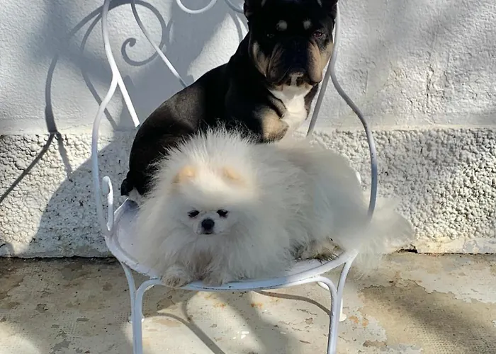 Alojamento de Acomodação e Pequeno-almoço Domaine Du Cheval D'argent