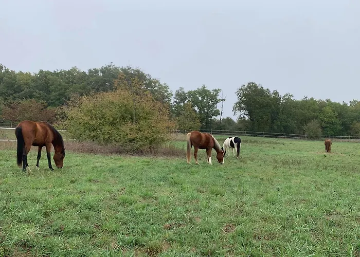Alojamento de Acomodação e Pequeno-almoço Domaine Du Cheval D'argent