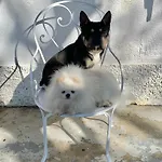 Bed and Breakfast Domaine Du Cheval D'argent