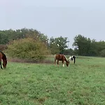 Bed and Breakfast Domaine Du Cheval D'argent