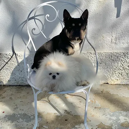 Panzió Domaine Du Cheval D'argent