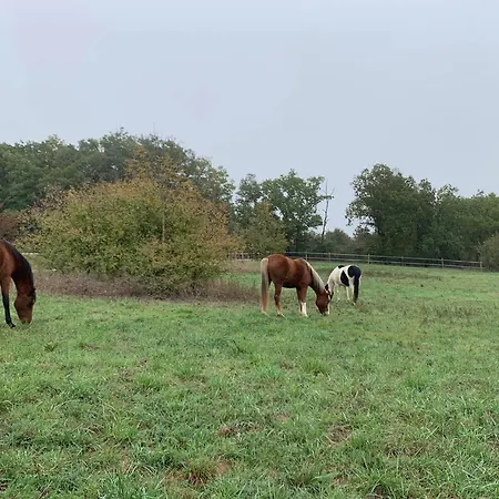 Panzió Domaine Du Cheval D'argent