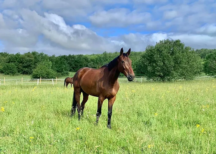 Domaine Du Cheval D'argent Saiguede